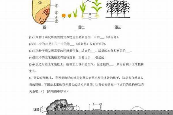 七年级上册生物复习题给下答案 谢谢